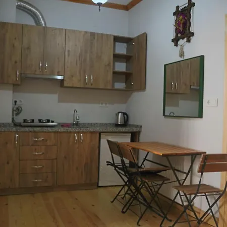 Lägenhetshotell 3 Floor History Mansion Istanbul