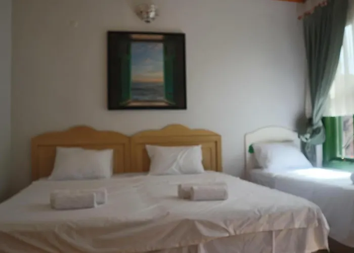 3 Floor History Mansion Apart-hotel